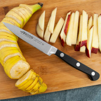 Нож кухонный для чистки овощей 10 см, серия Clasica, ARCOS, Испания_00813360040393547101.jpg