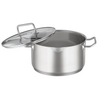 Кастрюля с крышкой , диаметр: 24 см, материал: нержавеющая сталь 18/10, серия Expertiso, ROESLE, Германия_00805320034508402135.jpg