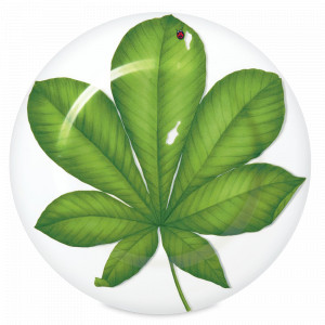 Блюдо сервировочное, 31,5 см, костяной фарфор, белый, зеленый, серия Freedom, TAITU, Италия, Итальянский фарфор