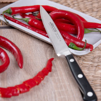 Набор кухонных ножей 