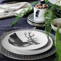 Тарелка закусочная Fauna, 21.6 см, керамика, белый, декор, серия Elements, COSTA NOVA, Португалия_00814370003962672666.jpg