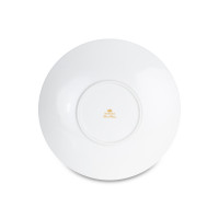 Сервиз столовый на 6 персон, 20 предметов, костяной фарфор, белый, золотой, серия Золотая линия, NARUMI, Япония_00811050043213296715.jpg