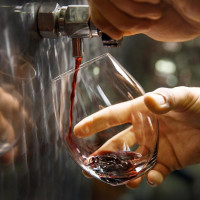 Бокал для красного вина O TO GO SYRAH, 570 мл, 11,8 см, хрусталь, серия O Wine Tumbler, RIEDEL, Австрия_00818680060099248385.jpg