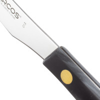 Набор столовых ножей для стейка 4 шт., 11 см, серия Steak Knives, ARCOS, Испания_00816990062558045799.jpg