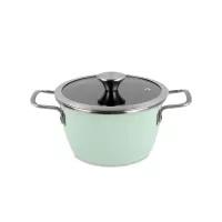 Кастрюля с крышкой, 20 см, сталь, стеклоэмаль, мятный, серия Nordic Mint, VITRINOR, Испания, 