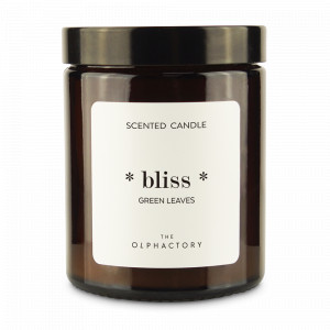 Свеча ароматическая «Green Rhubarb», 30 часов горения, воск, стекло, серия The Olphactory, AMBIENTAIR, Испания, Ароматы для дома