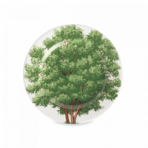 Тарелка закусочная, 16 см, костяной фарфор, белый, зеленый, серия Freedom, TAITU, Италия, Тарелки зеленые