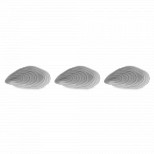 Набор из 3-х тарелок Oyster shell, 13.3 х 7 см, фарфор, серый, серия Sea treasures, TKANO, Россия, Тарелки