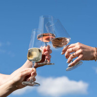 Набор из 4-х бокалов для шампанского Sparkling Wine, 260 мл, хрустальное стекло, серия Miovino, SCHOTT ZWIESEL, Германия_00819220049482126089.jpg