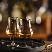 Набор из 2-х бокалов для крепких напитков, 220 мл, декор - платиновый, хрустальное стекло, серия Gentleman, EISCH, Германия_00817070058036508759.jpg