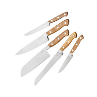 Набор из 5-ти кухонных ножей в подставке, деревянная рукоять, серия Georges Bois, TARRERIAS BONJEAN, Франция_00821970048291384637.jpg