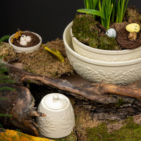 Сахарница , 400 мл, керамика, кремовый, серия Birds of Paradise, LIBERTY JONES, Россия_00812580065889351749.jpg