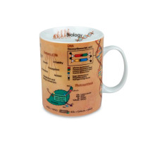Кружка «Биология», 490 мл, фарфор, декор, KOENITZ, Германия