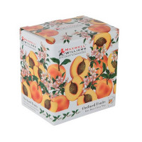 Тарелка десертная «Абрикос», фарфор, 20 см, MAXWELL WILLIAMS, Австралия_00807570050336772205.jpg