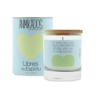 Ароматическая свеча «Холодная вода», в стеклянном стакане, воск, AMBIENTAIR, Испания