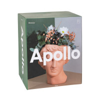 Ваза для цветов Apollo, 23.4 см, керамика, терракотовый, DOIY, Испания_00819740048112904333.jpg