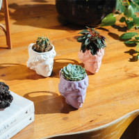 Кружка Aphrodite, 8.5 см, керамика, розовый, DOIY, Испания_00819740051182764352.jpg