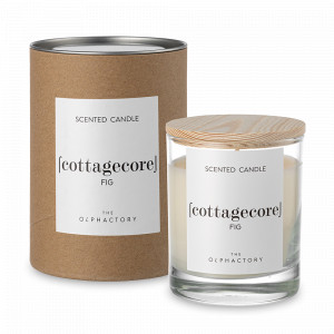 Свеча ароматическая «Fig», 40 часов горения, воск, стекло, серия The Olphactory, AMBIENTAIR, Испания, Ароматические диффузоры с палочками