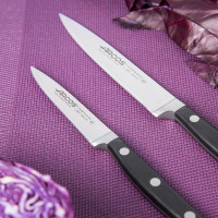 Нож кухонный филейный 16 см, серия Opera, ARCOS, Испания_00813310058449832961.jpg