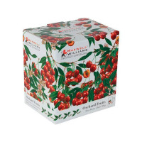 Кружка «Вишня», 300 мл, фарфор, белый, серия Фруктовый сад, MAXWELL WILLIAMS, Австралия_00801020059461828400.jpg