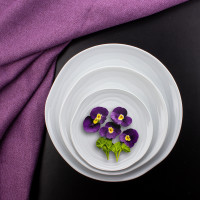 Тарелка десертная, диаметр 21 см, фарфор, серия Teck, PILLIVUYT, Франция_00812920065392411640.jpg