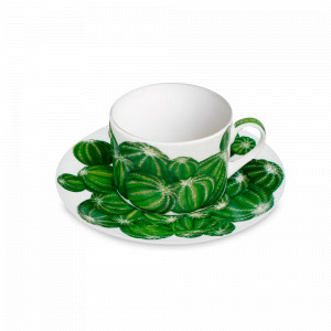 Пара чайная, 230 мл, костяной фарфор, белый, зеленый, серия Cactus, TAITU, Италия, Итальянский фарфор