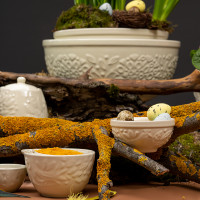 Миска для смешивания, 24 см, 2.6 л, керамика, кремовый, серия Birds of Paradise, LIBERTY JONES, Россия_00812580065591882673.jpg