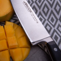 Нож кухонный 