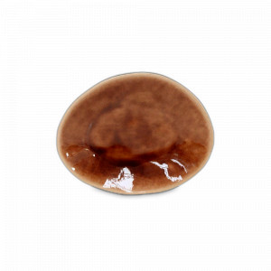 Тарелка овальная Terra, 15.4 х 12 см, керамика, коричневый, серия Riviera, COSTA NOVA, Португалия, Тарелки хлебные