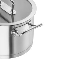 Кастрюля с крышкой, 3,5 л, 20 см, нержавеющая сталь 18/10, стальной, серия Pro, ZWILLING J.A. HENCKELS, Германия_00806630063871663507.jpg