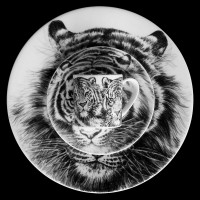 Тарелка десертная, 22 см, костяной фарфор, белый, черный, серия Wild Spirit, TAITU, Италия_00809520035592924514.jpg