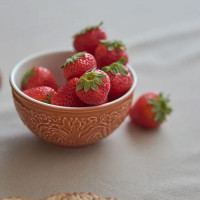 Набор из 4-х порционных салатников, 280 мл, 11 см, керамика, мультиколор, рельеф, серия English gardens, LIBERTY JONES, Россия_00819870056996961333.jpg