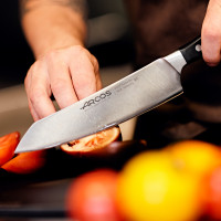 Поварской кухонный нож Kiritsuke 19 см, серия Manhattan, ARCOS, Испания_00813350055444672414.jpg