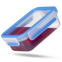 Контейнер прямоугольный, 1000 мл, пластик, серия Clips & Close, EMSA, Германия_00809770054451814268.jpg