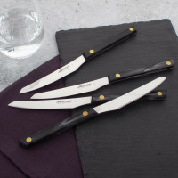 Набор столовых ножей для стейка 4 шт., 11 см, серия Steak Knives, ARCOS, Испания_00816990062578341587.jpg