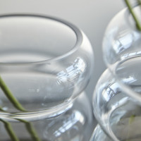 Ваза Swell, 22 см, стекло, прозрачный, BERGENSON BJORN, Великобритания_00817540060265523357.jpg