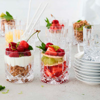 Набор из 4-х стаканов для виски, 295 мл, 10,2 см, хрусталь, серия Vivant, RIEDEL, Австрия_00801660053874102526.jpg