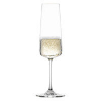 Набор из 4-х бокалов для шампанского Sparkling Wine, 260 мл, хрустальное стекло, серия Miovino, SCHOTT ZWIESEL, Германия_00819220049459992401.jpg