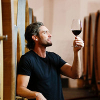 Набор из 2-х бокалов (фужеров) для красного вина SHIRAZ/SYRAH, 700 мл, 23,6 см, хрусталь, серия Vinum, RIEDEL, Австрия_00818690043632731201.jpg