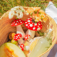 Ваза для цветов, 19 см, керамика, белый, серия Amanita, DOIY, Испания_00819740048031984006.jpg