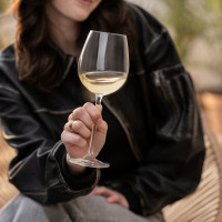 Набор из 4-х бокалов для белого вина, 460 мл., серия Vinos, SCHOTT ZWIESEL, Германия_00822740055706491793.jpg