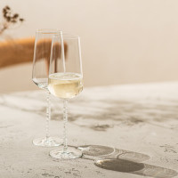 Набор из 2-х фужеров для шампанского, 358 мл, серия Journey, ZWIESEL GLAS, Германия_00822730040138258326.jpg