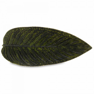 Блюдо сервировочное Forets, 40 х 17 см, керамика, темно-зеленый, серия Riviera, COSTA NOVA, Португалия, Riviera COSTA NOVA