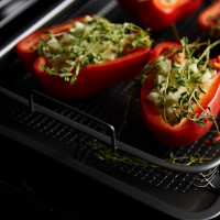 Противень для запекания с решеткой - гриль, 25 х 33 см, углеродистая сталь, нержавеющая сталь AISI 201, серия Roast Masters, LIBERTY JONES, Россия_00819870057789017141.jpg