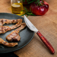 Набор столовых ножей для стейка, 6 штук, рукоять прессованное дерево, серия Steak Knives, ARCOS, Испания_00813150057976785645.jpg