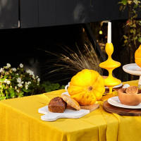 Доска сервировочная, 21.5 х 33.5 см, белый мрамор, дерево, серия Marm, LIBERTY JONES, Россия_00813870041633351586.jpg