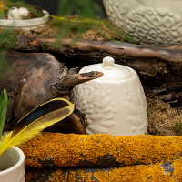 Сахарница , 400 мл, керамика, кремовый, серия Birds of Paradise, LIBERTY JONES, Россия_00812580065884859079.jpg