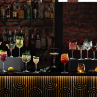 Набор из 6-ти бокалов для красного вина, 500 мл, хрустальное стекло, серия Alkemist, RCR, Италия_00817140048786916533.jpg