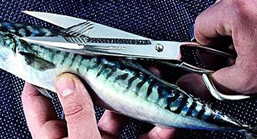 Кухонные ножницы