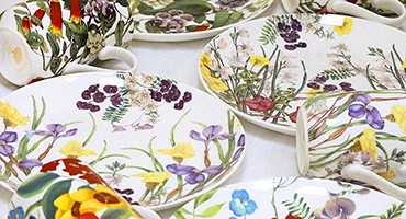 Евфимия Хендерсон